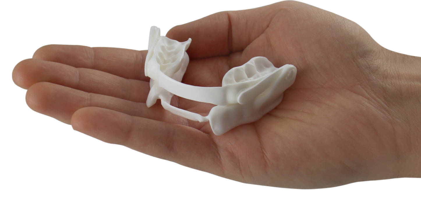 Denturaid The Panthera AntiSnoring Device Denturaid